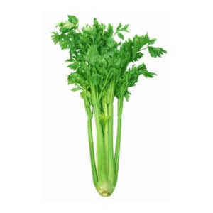 Celery Online Palengke Davao City