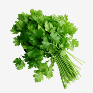 Coriander Online Palengke Davao City