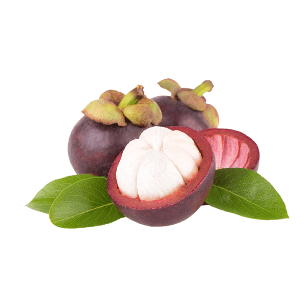 Mangosteen Online Palengke Davao City