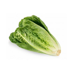 Romaine Lettuce Online Palengke Davao City